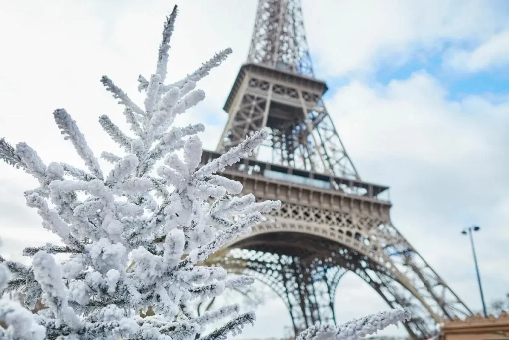 Winter-in-Paris-France-1 - Day Trip Group - Day Trip Group Christmas Market Tours: Magical Paris Winter Experience - Day Trip Group