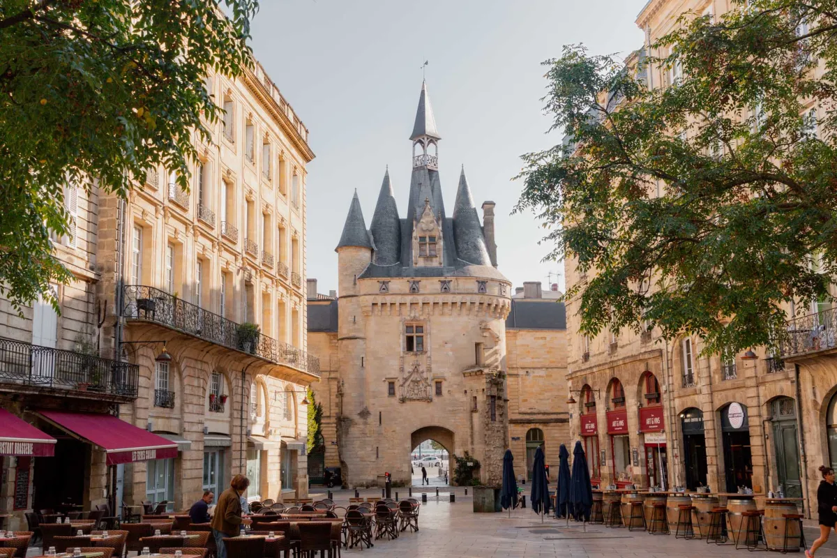 Blog - Day Trip Group